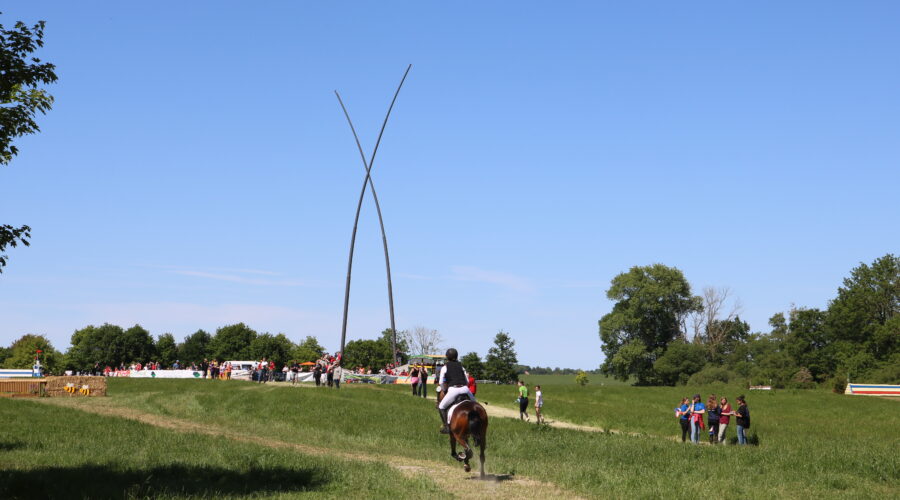 Goldene Schärpe Ponyreiter 5